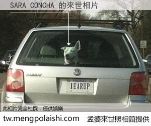 SARA CONCHA 來世的未來相片