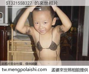 ST3215SB327 來世的未來相片