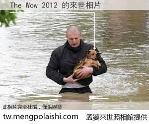 The Wow 2012 來世的未來相片