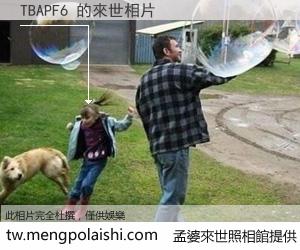 TBAPF6 來世的未來相片