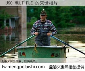 USO MULTIPLE 來世的未來相片