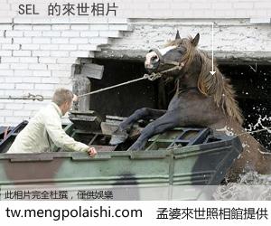 SEL 來世的未來相片