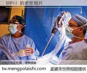 SOPII 來世的未來相片