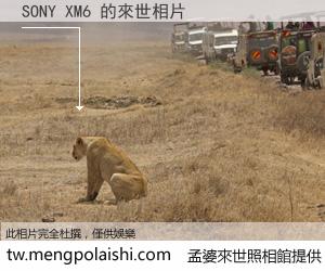 SONY XM6 來世的未來相片