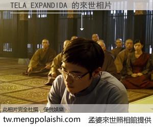 TELA EXPANDIDA 來世的未來相片