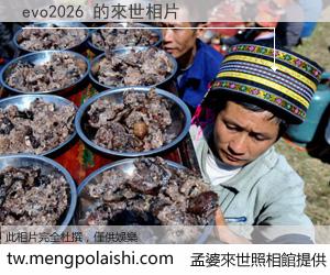 evo2026 來世的未來相片