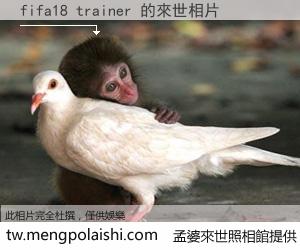 fifa18 trainer 來世的未來相片