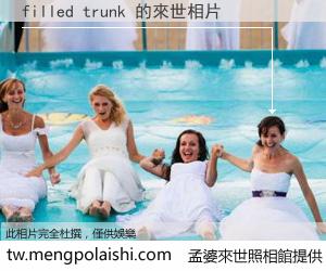 filled trunk 來世的未來相片