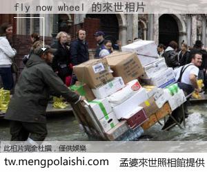 fly now wheel 來世的未來相片