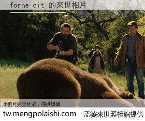 forhe cit 來世的未來相片