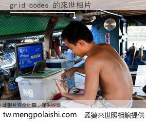 grid codes 來世的未來相片