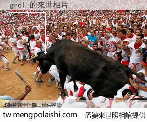 grol 來世的未來相片