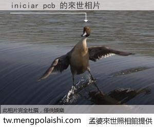 iniciar pcb 來世的未來相片