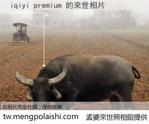 iqiyi premium 來世的未來相片