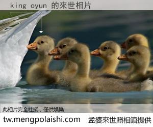 king oyun 來世的未來相片