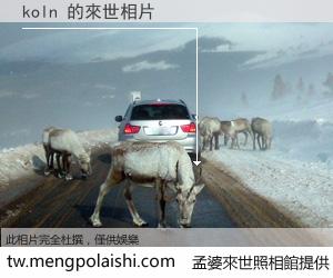 koln 來世的未來相片