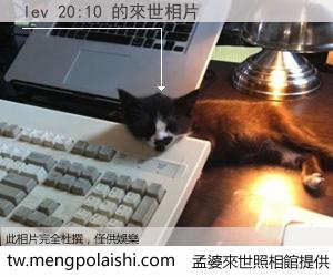 lev 20:10 來世的未來相片