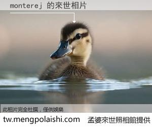 monterej 來世的未來相片