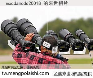 moddamodd20018 來世的未來相片