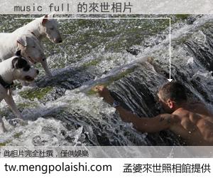 music full 來世的未來相片