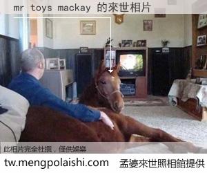 mr toys mackay 來世的未來相片