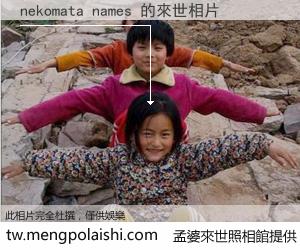 nekomata names 來世的未來相片