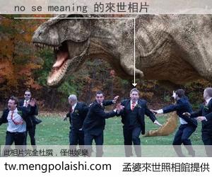 no se meaning 來世的未來相片