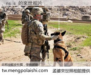 ns s 來世的未來相片