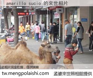 amarillo sucio 來世的未來相片
