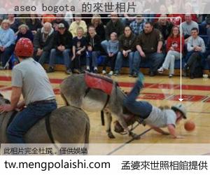 aseo bogota 來世的未來相片