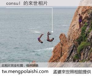 consul 來世的未來相片