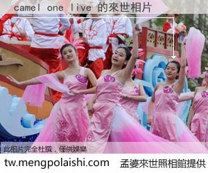 camel one live 來世的未來相片