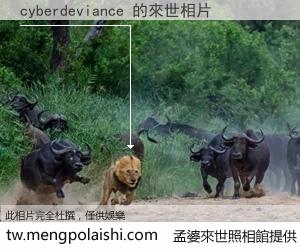 cyberdeviance 來世的未來相片