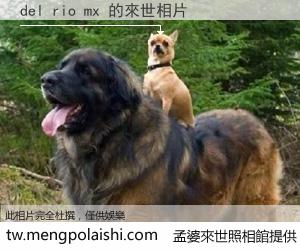 del rio mx 來世的未來相片