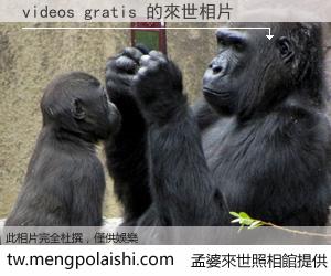 videos gratis 來世的未來相片