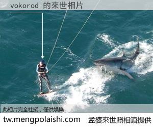 vokorod 來世的未來相片