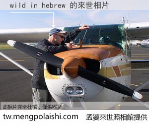 wild in hebrew 來世的未來相片