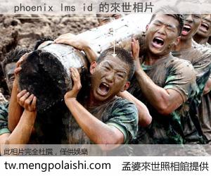 phoenix lms id 來世的未來相片