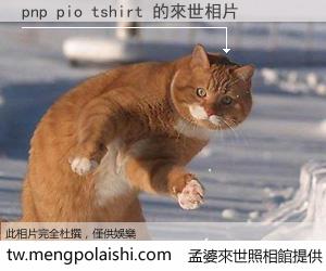 pnp pio tshirt 來世的未來相片