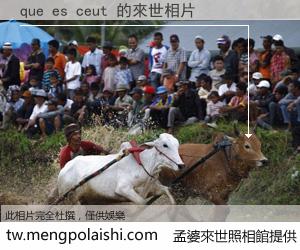que es ceut 來世的未來相片