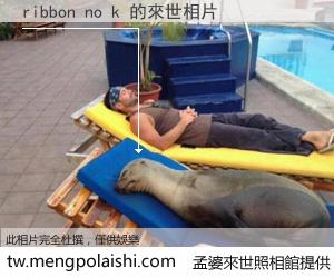 ribbon no k 來世的未來相片
