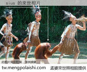 sius 來世的未來相片