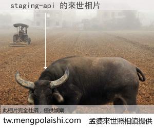 staging-api 來世的未來相片