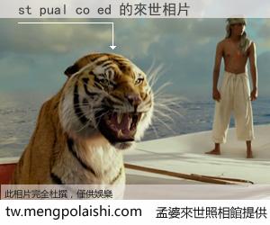 st pual co ed 來世的未來相片