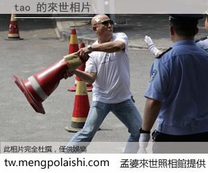 tao 來世的未來相片