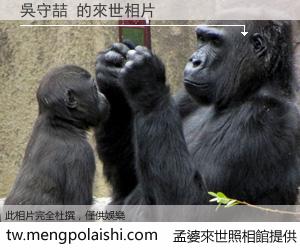 吳守喆 來世的未來相片