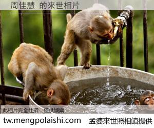 周佳慧 來世的未來相片