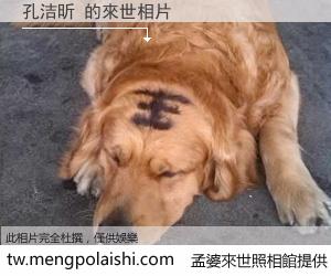 孔洁昕 來世的未來相片