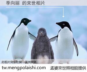 季向丽 來世的未來相片