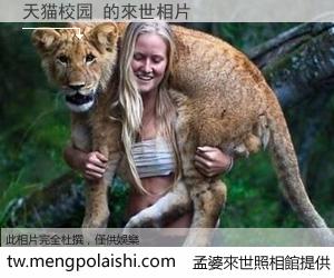 天猫校园 來世的未來相片